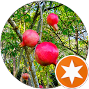 Profilbild von „silky smooth“